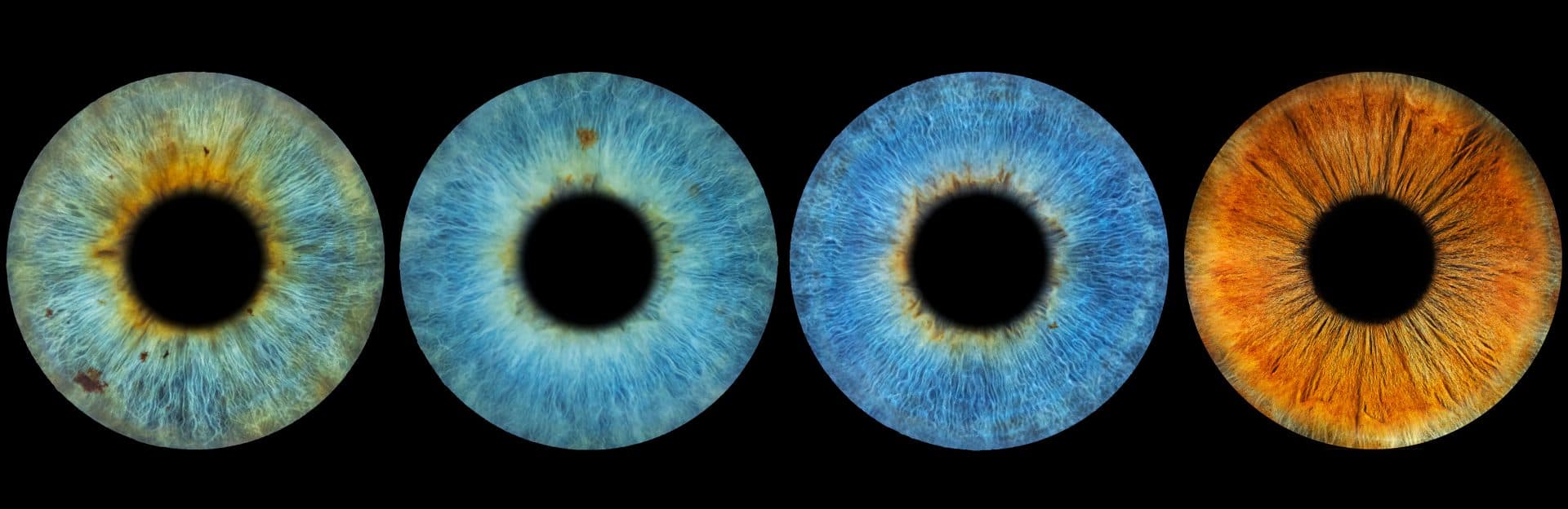 Стоки фотография 15