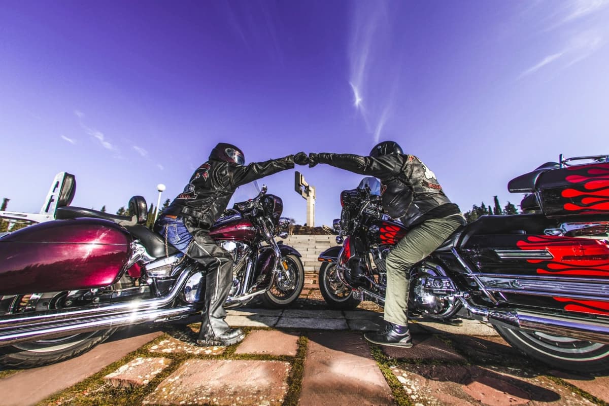 Портфолио снимка 12