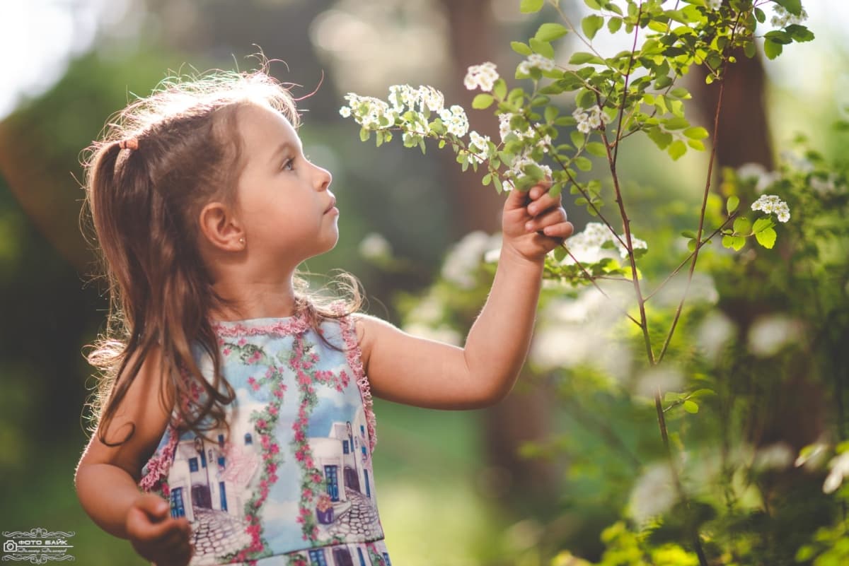 Портфолио снимка 28