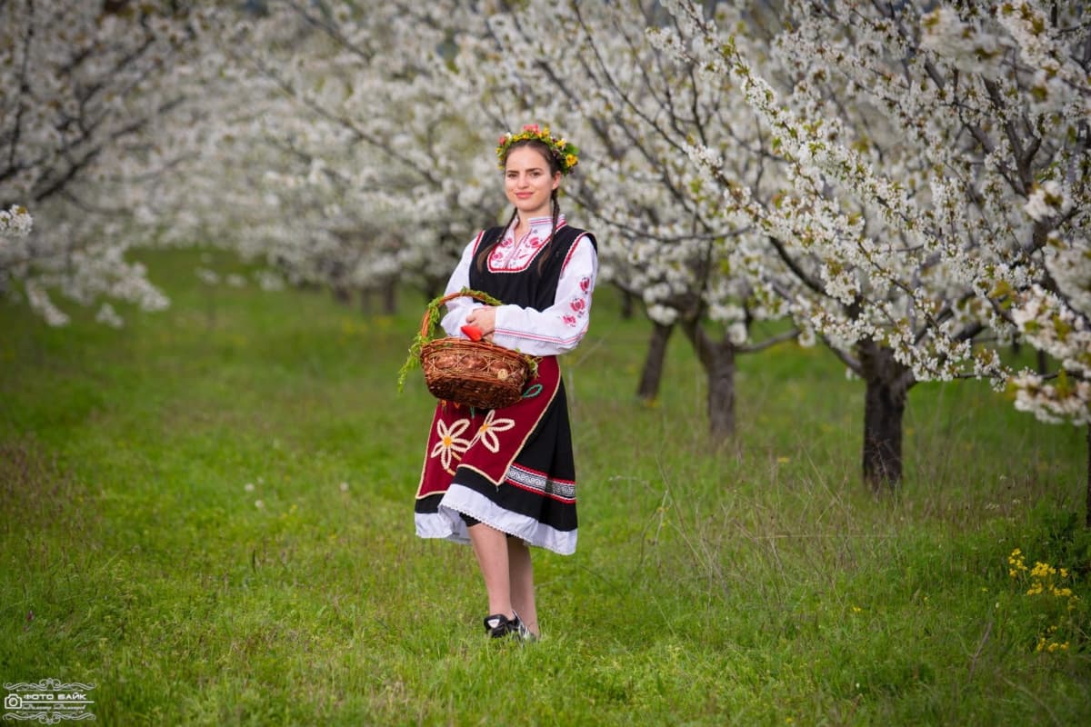 Портфолио снимка 85