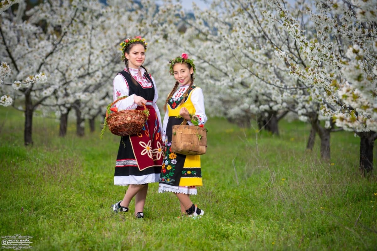 Портфолио снимка 86