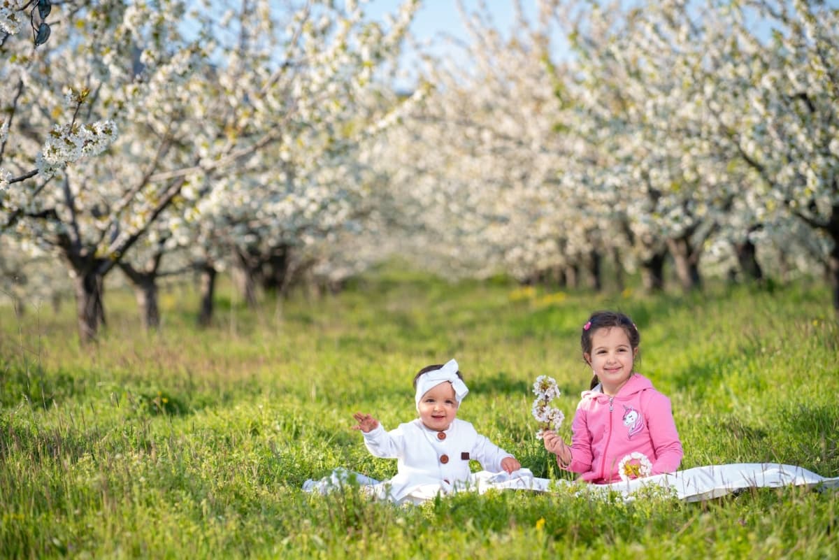 Портфолио снимка 87