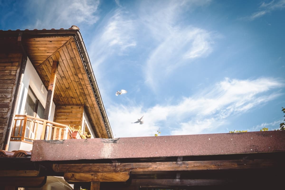 Сватбена Фотография Нина и Мартин 33